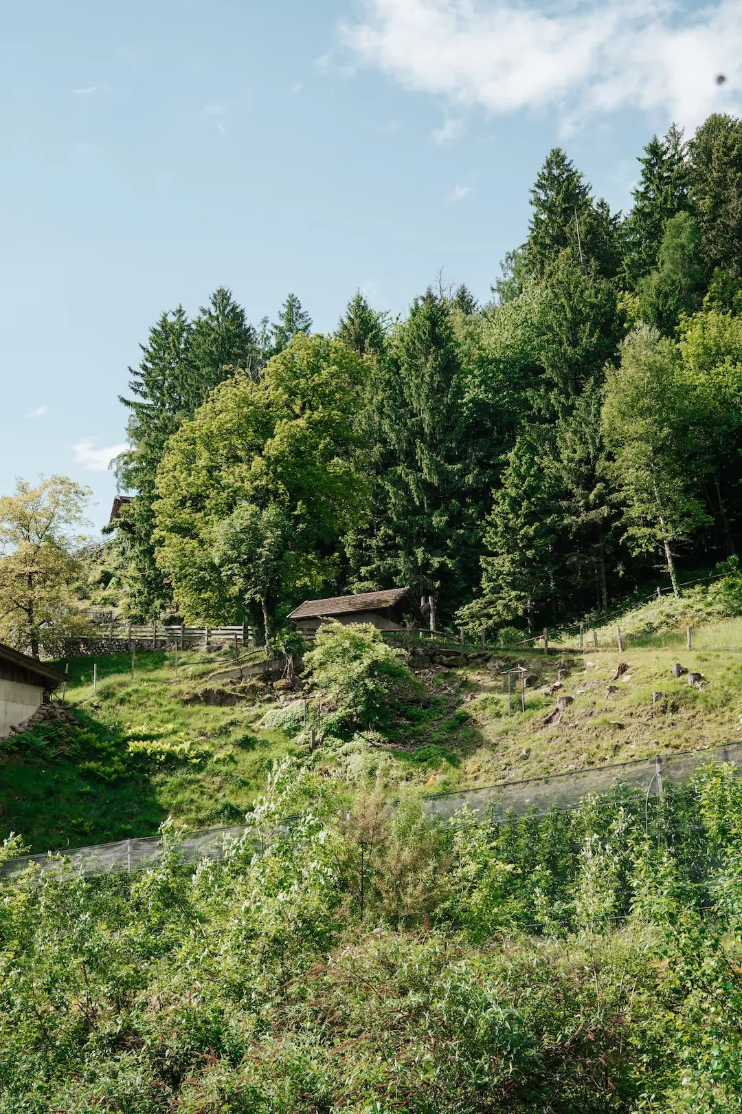 Die Umgebung der Aktiv Lodge bei Meran